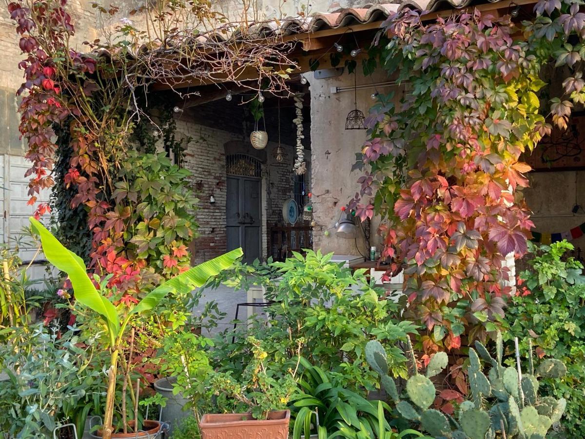 B&B Ostria Vento Medesano Exteriér fotografie