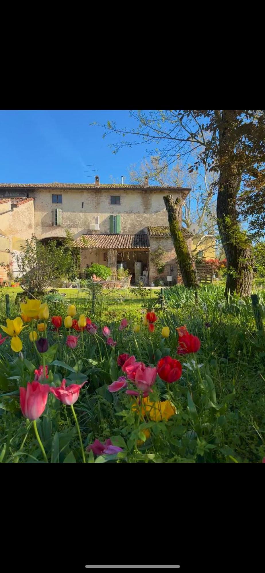 B&B Ostria Vento Medesano Exteriér fotografie